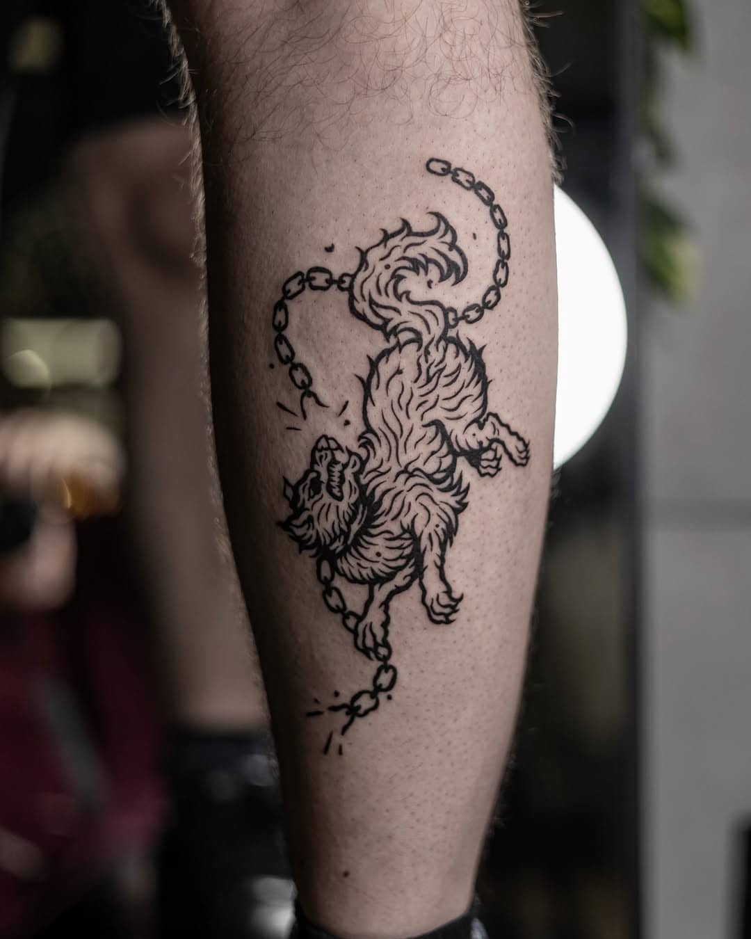 Tatuaż wilk na nodze, styl linework z łańcuchem. Studio Sztorm Tattoo Gdańsk.