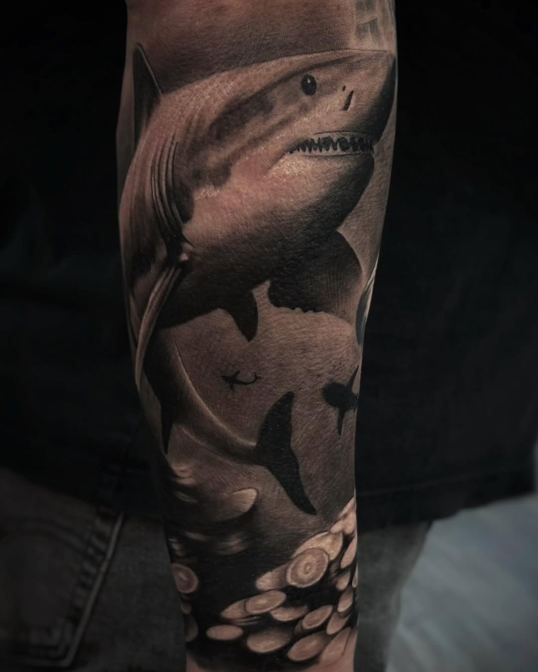 Czarny realistyczny tatuaż rekina w podwodnej scenerii, dynamiczny i pełen kontrastu, wykonany przez Kolosa, Sztorm Tattoo Gdańsk.